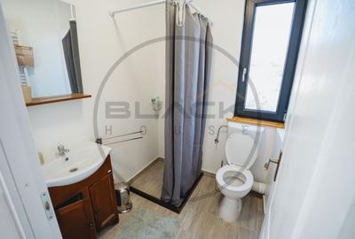 Casa Superba de vanzare, refugiu langa padure + Business Profitabil - 11