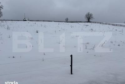Teren de 2000 mp, în Poiana Stampei - 1