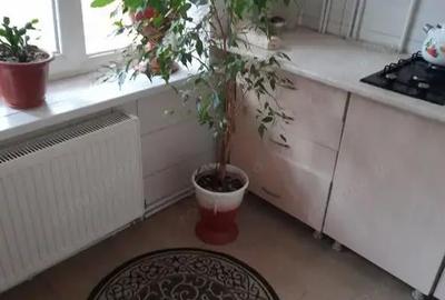 Garsonieră în Spitalul Județean - 1