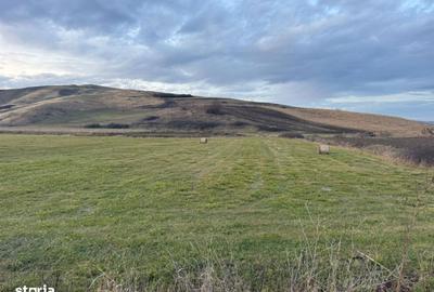 Spațiu comercial, în Cojocna - 2