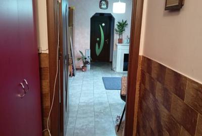 Apartament 3 camere, 49.27, zona Brazda lui Novac - 11