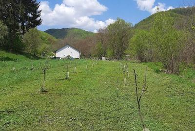 Spațiu comercial, în Lăpușnicu Mare - 2