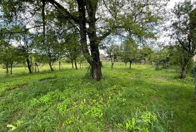 Casa de vanzare 230 mp utili + teren 1000 mp, Luna de Sus, Cluj! - 20