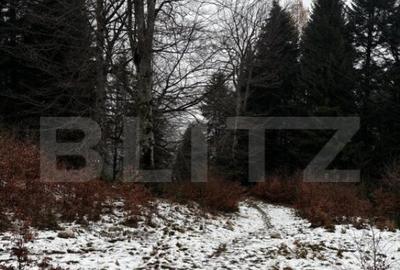 Teren unic, exclusivist 4000 mp, in inima muntilor, Sinaia - 3