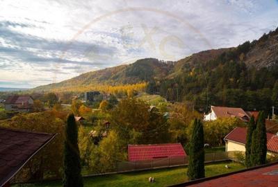 VANZARE / SCHIMB  PENSIUNE in zona de munte, langa Pestera Muierilor - 1