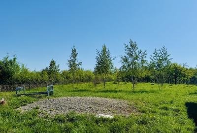 Teren Construcții intravilan de 1200 mp, în Cisnădie - 2
