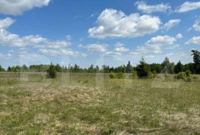 Teren de 2500 mp, în Central