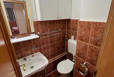 Apartament cu 3 camere decomandat în Nufărul - 9