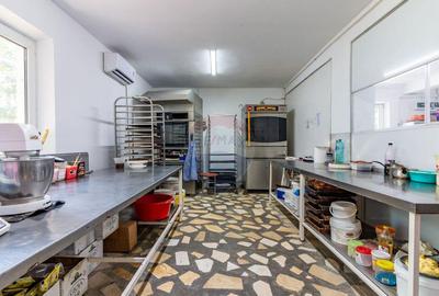 Casa+Laborator+ Teren 12.700 mp + casa de vacanta - Bolin... - 24