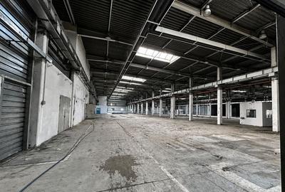Spațiu industrial, de 20,702 mp, în Timișoara - 7