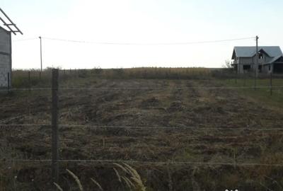 Teren de 1000 mp, în Munteni - 5