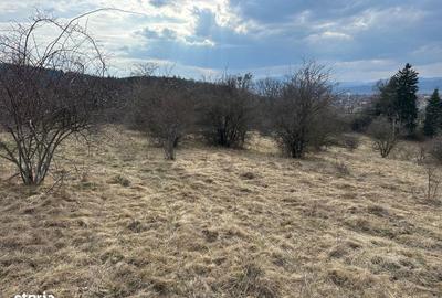 Teren de 6000 mp, în Cristian