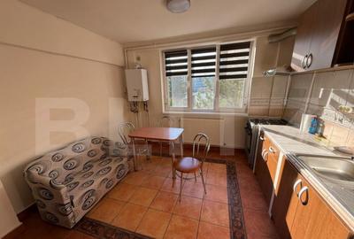 Apartament, 2 camere, 55 mp, zona Iulius Mall - 6