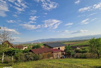 Teren de 1250 mp, în Șura Mare - 9