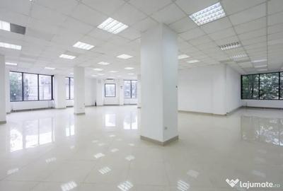 Spațiu comercial, de 250 mp, în Ferdinand - 8