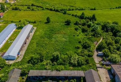 Teren de 9335 mp, în Teliu - 3