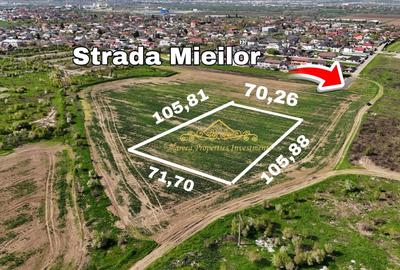 Teren Construcții intravilan de 7504 mp, în Glina - 1