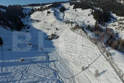 Teren de 36000 mp, în Central - 3