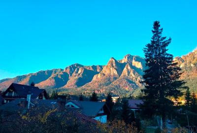 Apartament cu vedere superba la munte! Bușteni! Apartament cu vedere superba la munte! Bușteni! - 8