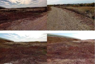 Teren de 2950 mp, în Albota - 5