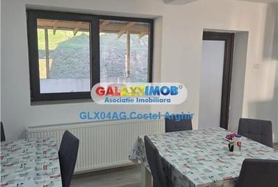 Inchiriem vila in Budeasa, mobilata si utilata - 28