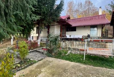 Casă cu 4 camere cu Teren 1527 Mp în Tăuții de Sus - 14