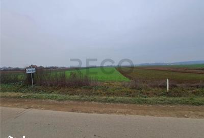 Teren de 5712 mp, în Tăut - 4