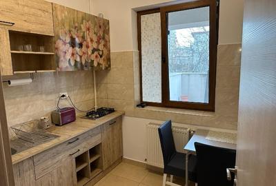 Apartament cu terasa si curte - 4