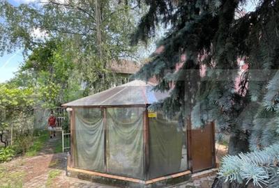 Casă cu 6 camere cu Teren 854 Mp în Elisabetin - 4