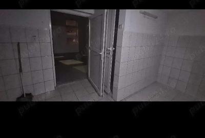 Inchiriez spatiu comercial pe B-dul Dacia - 8