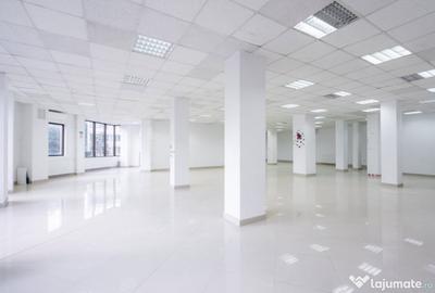 Spațiu comercial, de 250 mp, în Ferdinand - 13