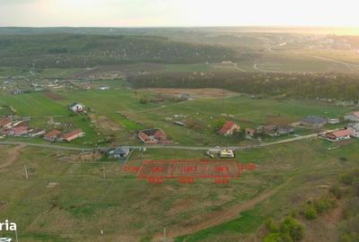 Spațiu comercial, în Betfia - 5