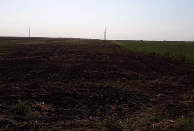 Teren de 15000 mp, în Agigea - 4