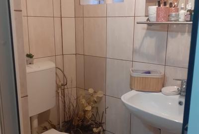 Cismigiu, Vila, garsoniera 19 mp - 7