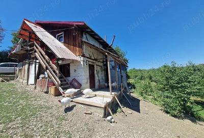 Teren 6926 mp de vanzare in Valea Danului jud Arges - 5