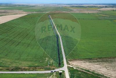 Teren Construcții extravilan de 5000000 mp, în Slobozia Ciorăști - 2