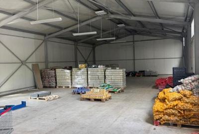 Spațiu comercial, de 280 mp, în Gării - 11