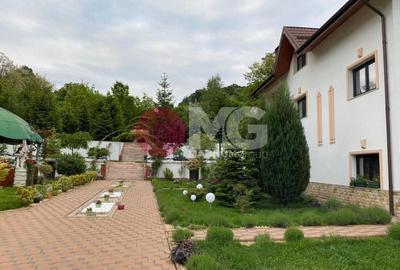 Domeniu de vanzare, Baile Govora teren 20875mp - 5