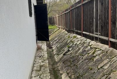 Casă cu 2 camere în Bogda - 7