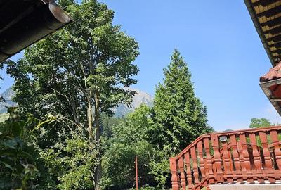 Vila cu vedere la Muntii Bucegi - 560 mpc si 963 mp teren - Zamora - 11