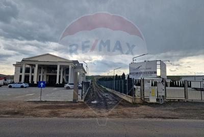Teren 10,000mp Bacau / Strada Alexandru Safran - 19