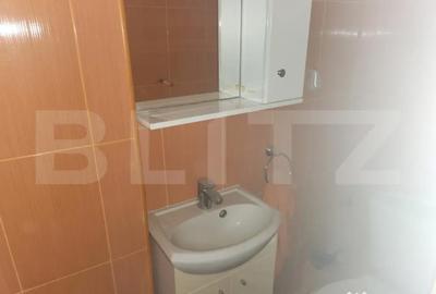 Apartament cu 3 camere semidecomandat în Cugir - 1