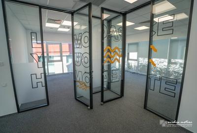 Birouri 216 mp Brancusi - 3