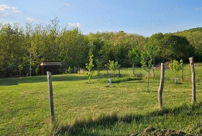 Teren de 400 mp, în Șiria - 2