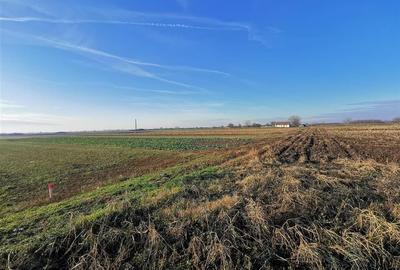Teren intravilan in Bors cu front la 2 strazi. - 2