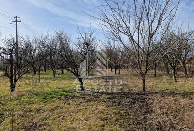 Casa individuala cu 3 camere ,teren 4222 mp in exclusivitate Dorobanti - 2