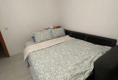 Garsonieră în Ștefănești - 3