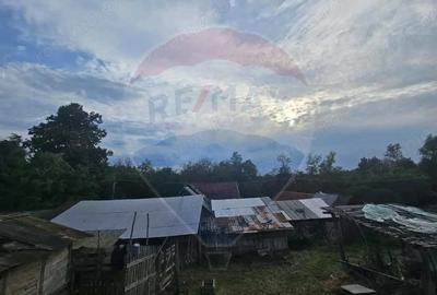 Casă cu 3 camere cu Teren 12955 Mp în Jdioara - 7