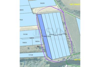 Teren Construcții intravilan de 15000 mp, în Snagov - 8