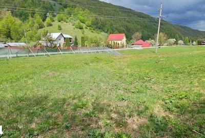 Teren de 2450 mp, în Bulz - 5